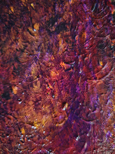 Detail Veno schubben